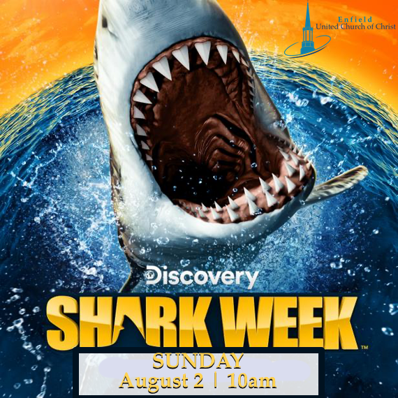 Shark Week Sunday