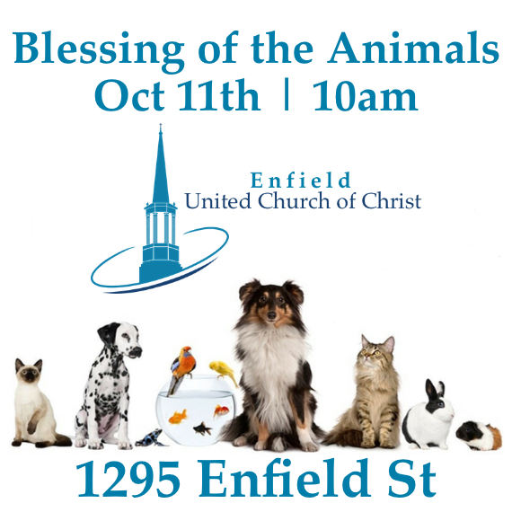 Blessing of the Animals